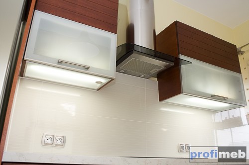 Kuchnie nowoczesne - Lycium